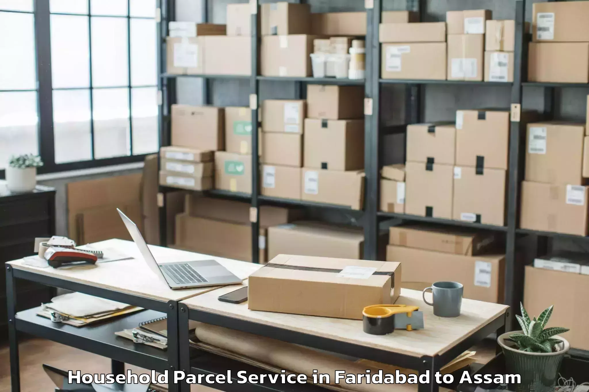 Leading Faridabad to Palasbari Household Parcel Provider